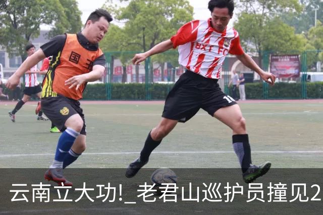 云南立大功! 老君山巡护员撞见200多株 "奇花" ,专家确认是极危国
