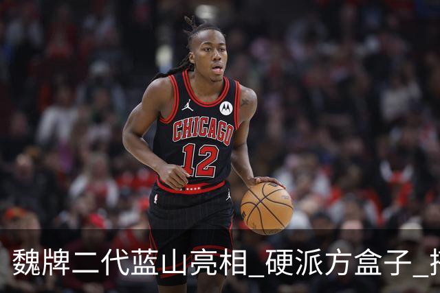 魏牌二代蓝山亮相 硬派方盒子 搭载2.0T插混动力